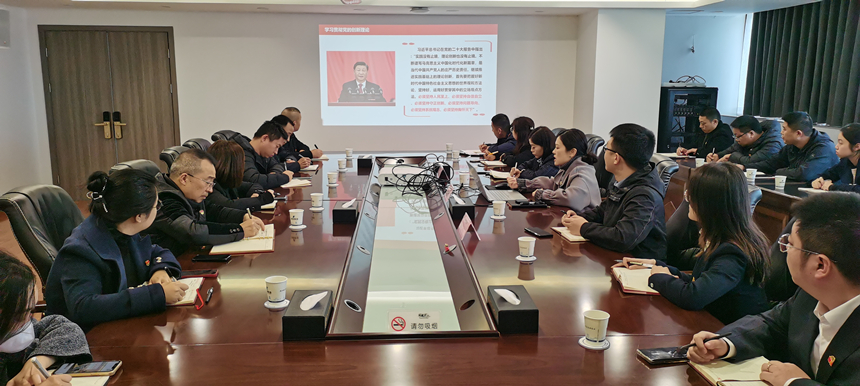 集團(tuán)黨委委員、副總經(jīng)理賀維維同志講授專題黨課